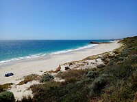 Strand waar baby-zeehondje gezien R