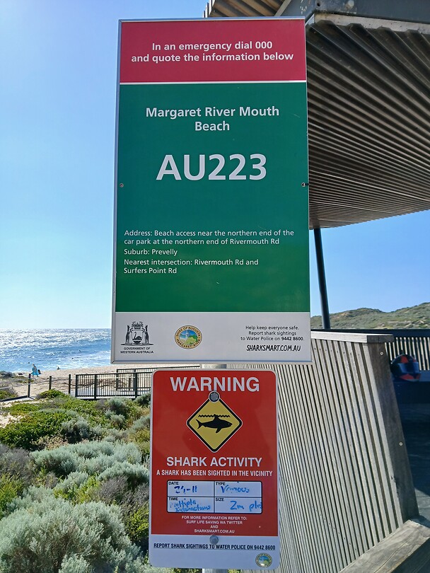 Warning Sharks!