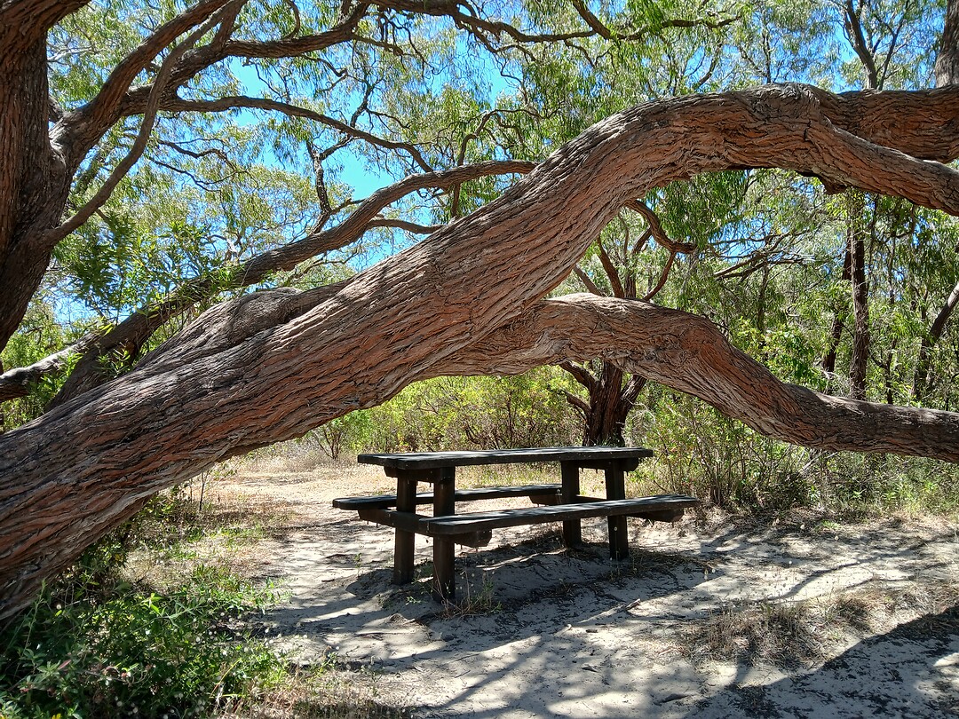 Picknick-plaats
