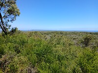 Uitzicht Boranup
