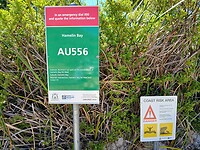 Hamelin Bay sos