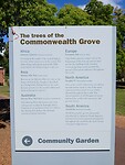 The trees of the Commonwealth Grove