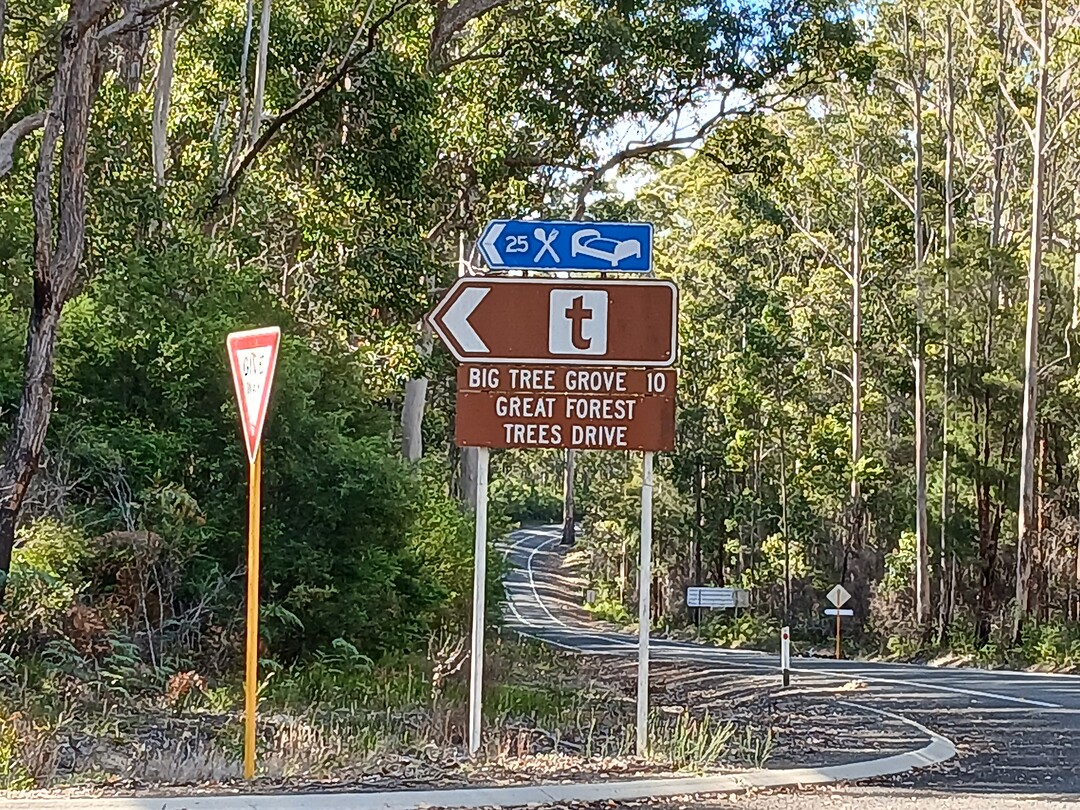 Area Big trees