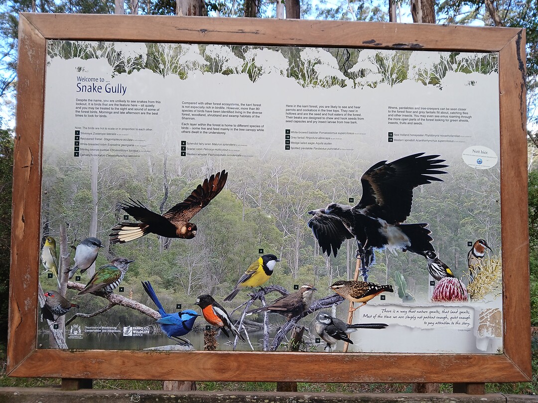 Birds of the Snake Gully