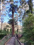 Looppadje Snake Gully