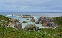 Elephant Rocks