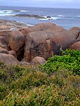 Elephant Rock dat meeste op een olifant lijkt