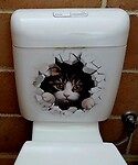 Originele doorspoelbak van WC
