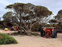 Oude tractors