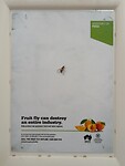 1 fruitvlieg kan een hele industrie kapot maken