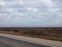 De Outback van Zuid-Australië