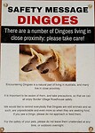 Waarschuwingsbord Dingoes