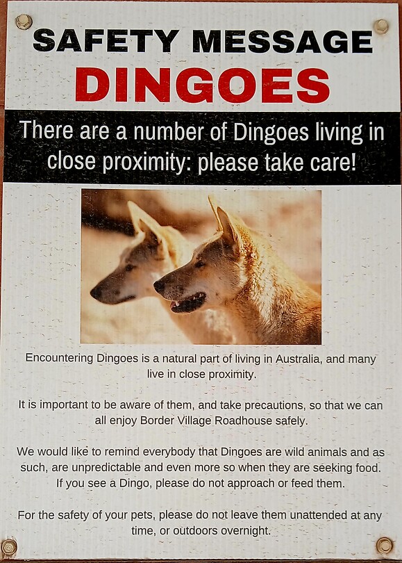 Waarschuwingsbord Dingoes