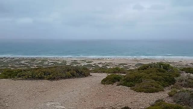 De National Highway die loopt door de Nullarbor, is dicht aan de zee