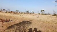 Verroeste wrakken op een camping waar me maar 1 nacht zijn gebleven