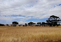 Booborowie