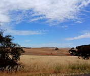 Gum Creek