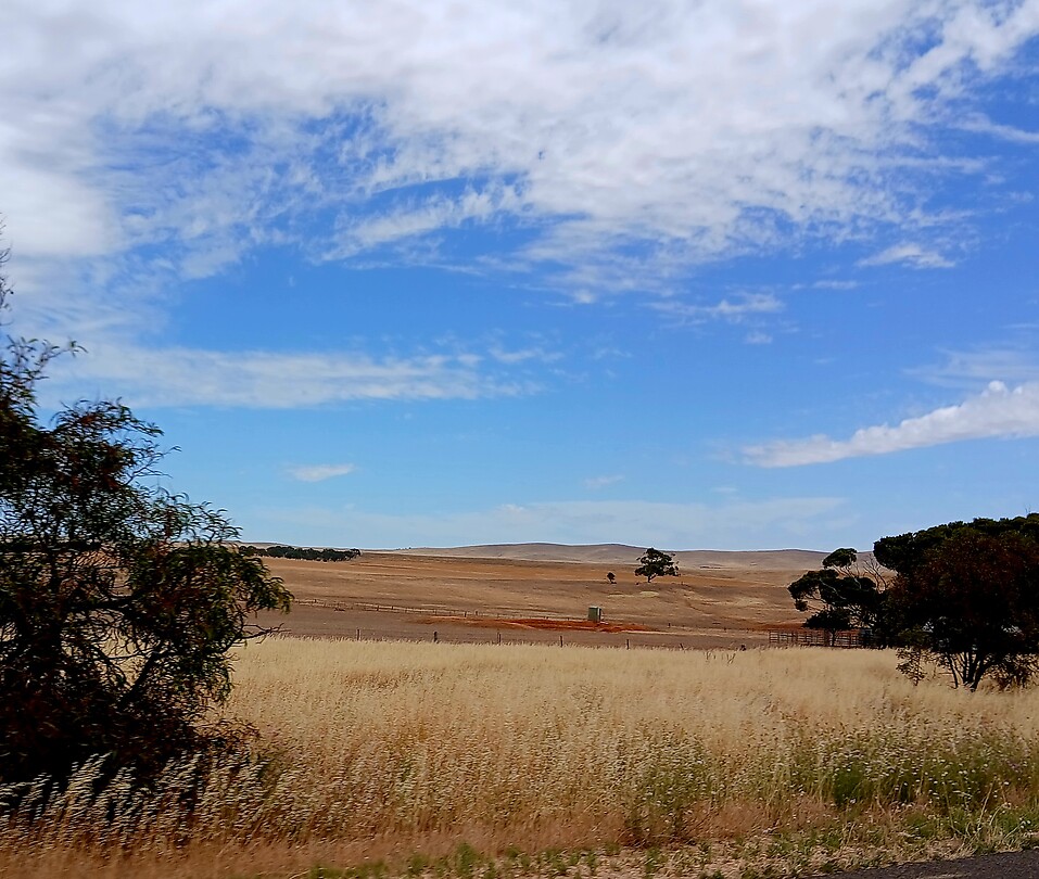 Gum Creek