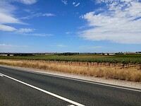 Wijngaarden van Barossa