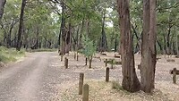 Sawpit Picnic Area