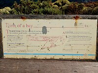 Birth of a Bay