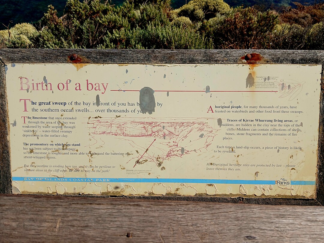 Birth of a Bay
