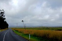 Regen op komst?