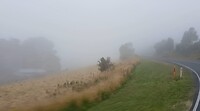 Door een natte wolk in de bergen