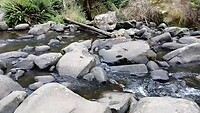 Stevensons Falls