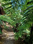 Wandeling naar waterval