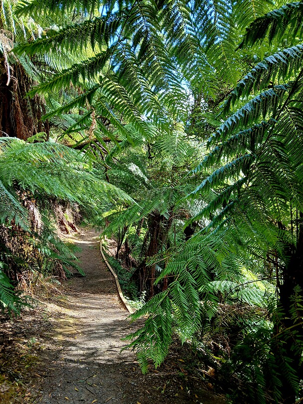 Wandeling naar waterval