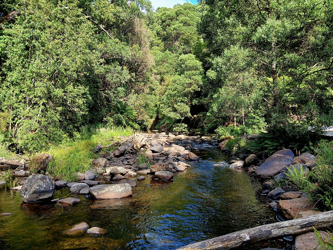 Wandeling langs de rivier