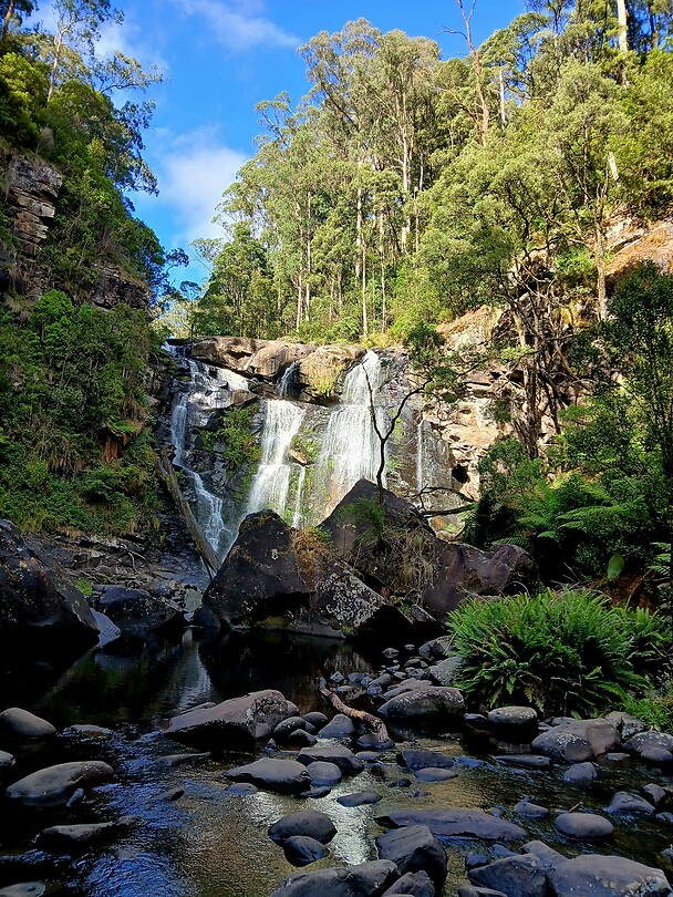 Stevensons Falls