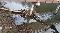 Onder de brug nog sporen van de overstroming nog te zien