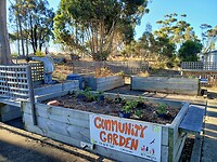 Community Garden, zwaar verwaarloosd