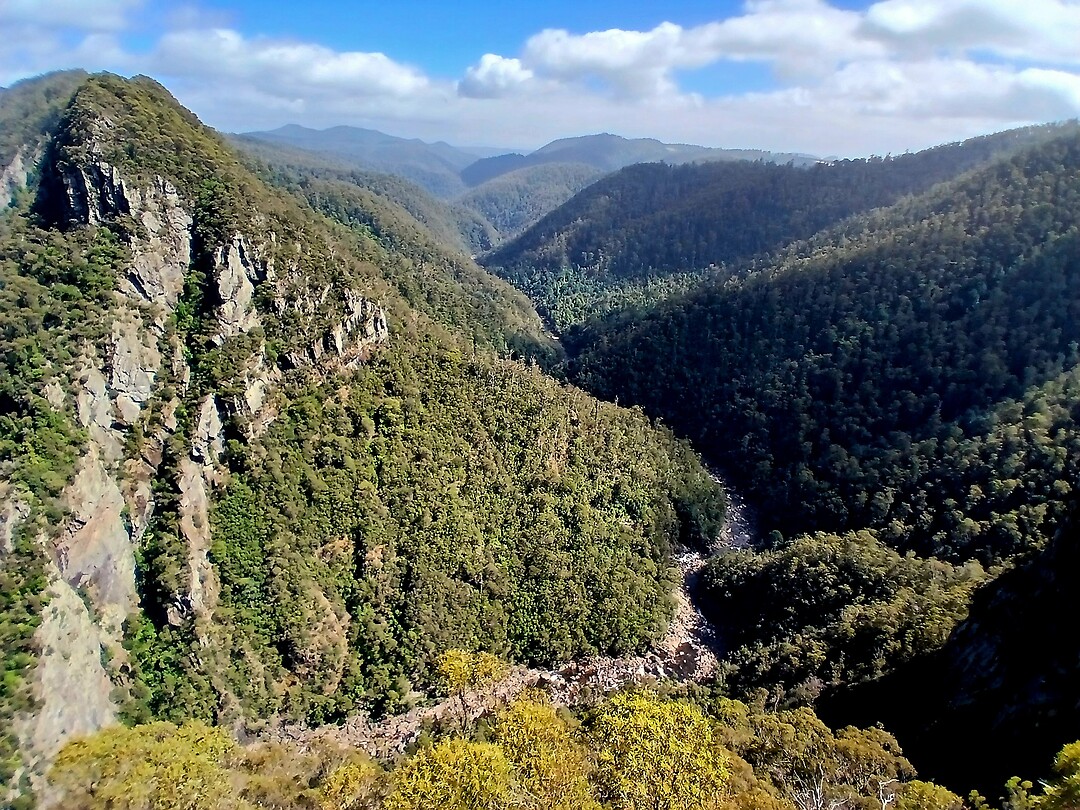 Cruickshand lookout