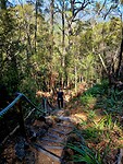 De vele trappen naar beneden voor de Cruickshand lookout