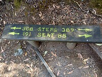 Bijna 700 steps!
