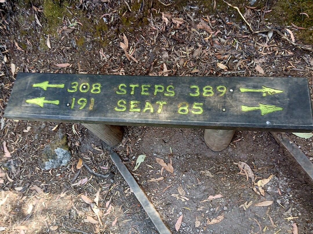 Bijna 700 steps!