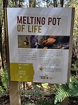 Melting Pot of Live