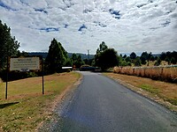 Welcome to the Tasmanian Arboretum