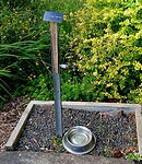 Drinkwater voor mens en hond