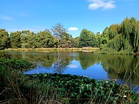 The Blue Lake van het Arboretum