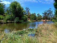 The Blue Lake waar platypussen in leven