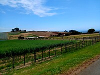 Tasmanië niet zo droog als op vele plaatsen in Australië