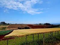 Vruchtbare rode Tasmaanse aarde
