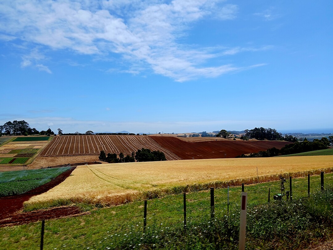 Vruchtbare rode Tasmaanse aarde