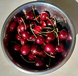 Lekkere Tasmaanse kersen
