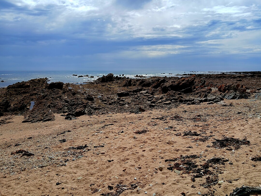 Strand waar pinguins komen