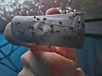Stickie-ducktape-finger!! Dé oplossing!